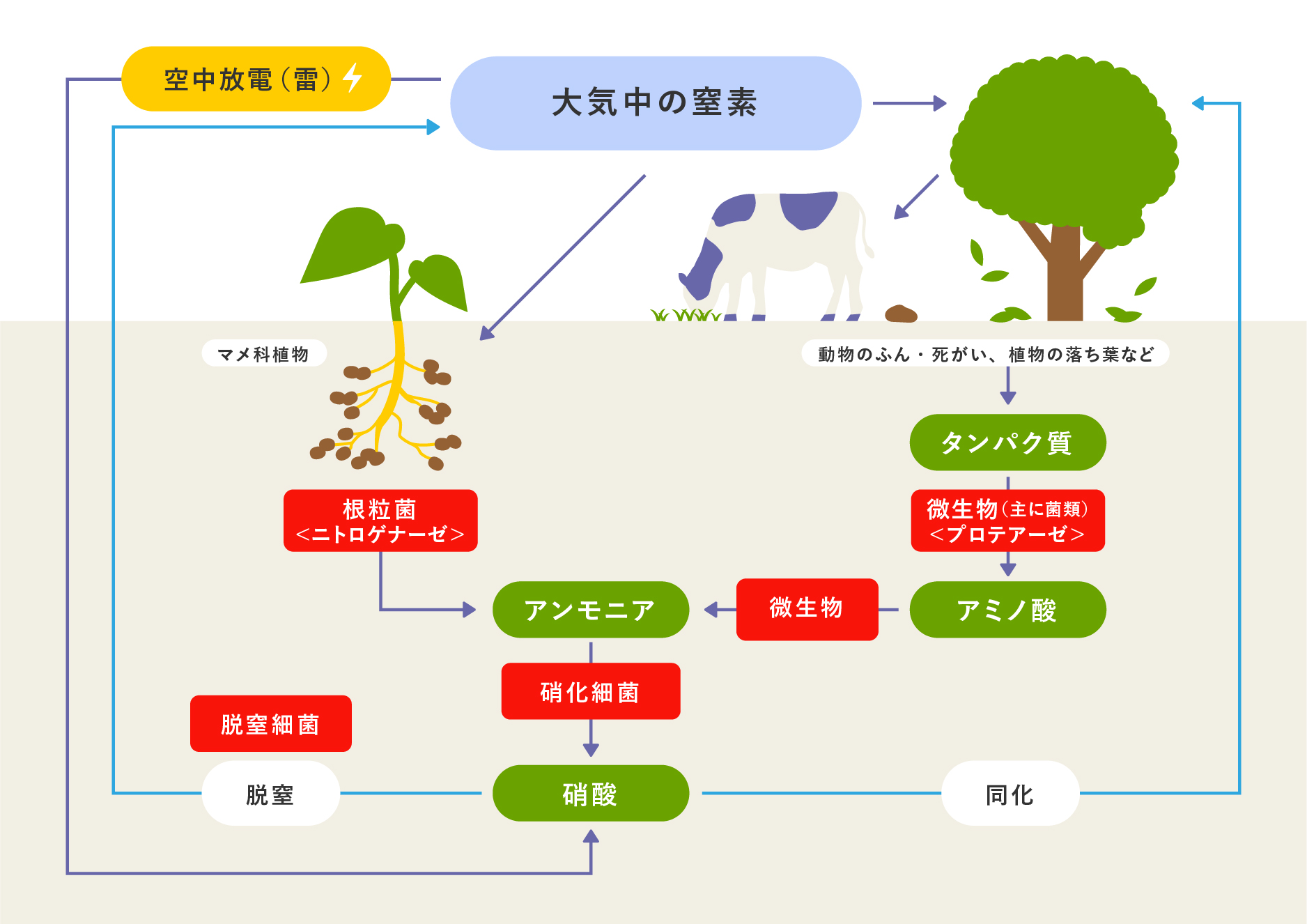 酵素トーク 見えないもので世界はできている 天野エンザイム